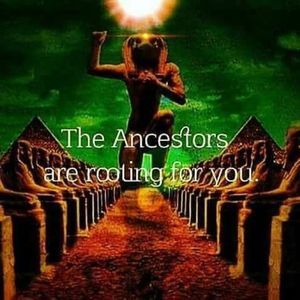 Meet your Posher, Donald